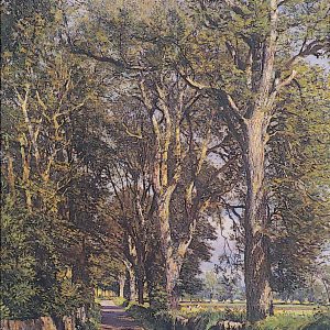 James McIntosh Patrick_Flocklones_19.75x14