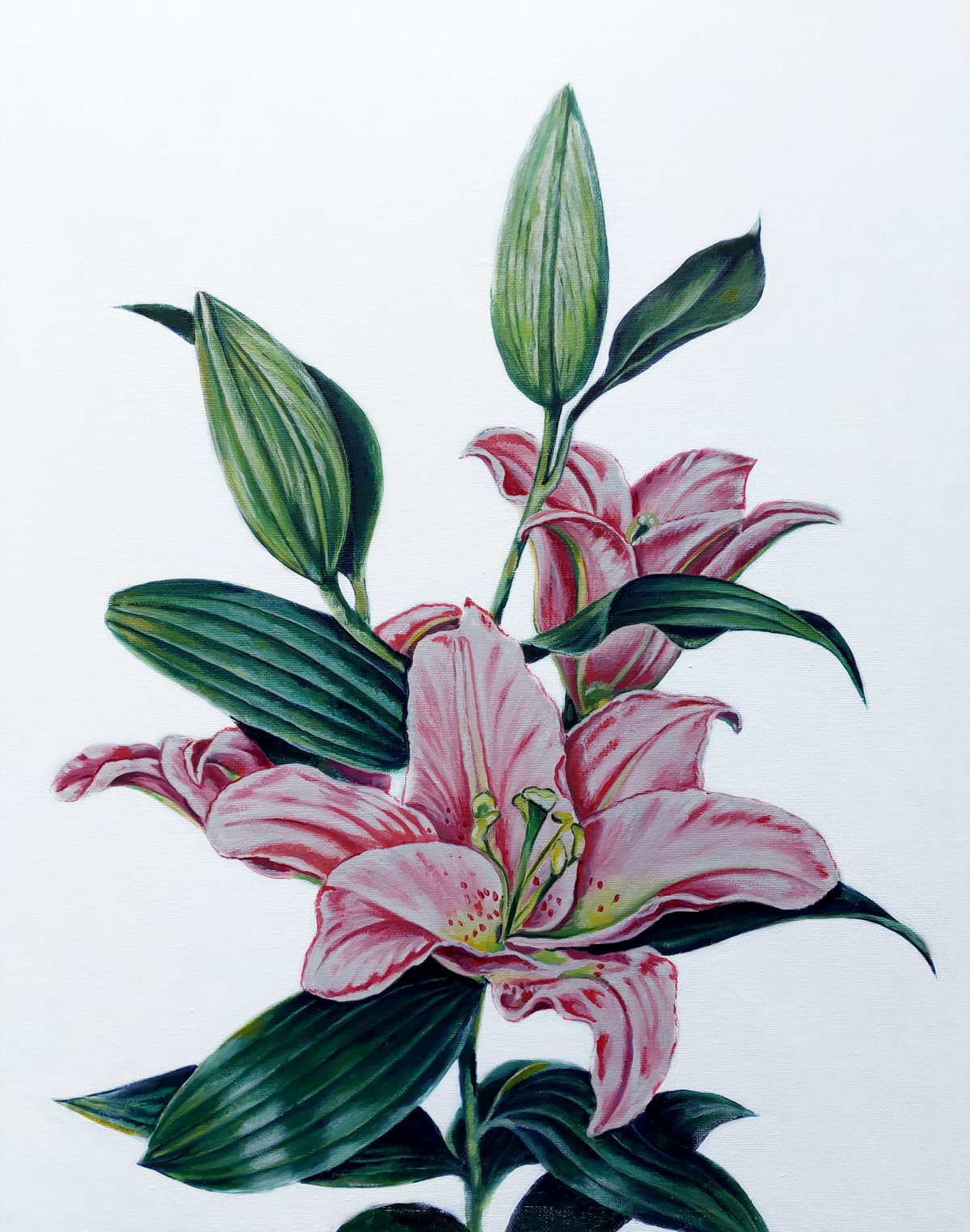 Pink Lilies oil on canvas WEB-min