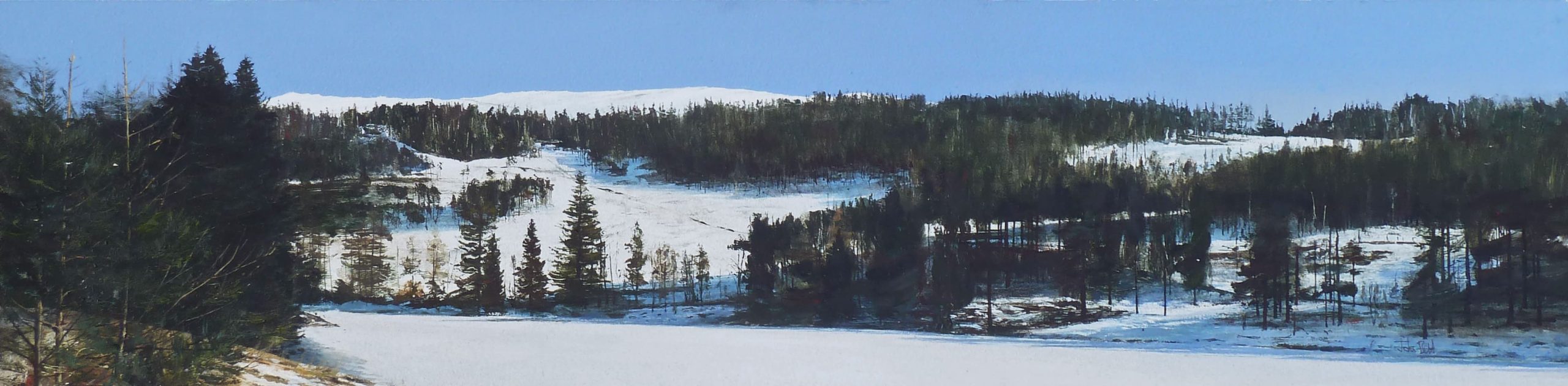 1 Drumore Loch, Glen Shee (size 48 x 11.5 inches)