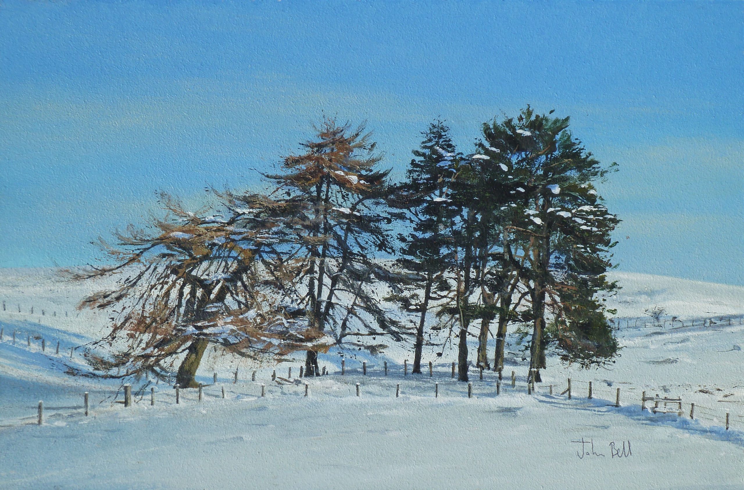 15 Copse of Trees, Glen of Rait II (size 18 x 12 inches)