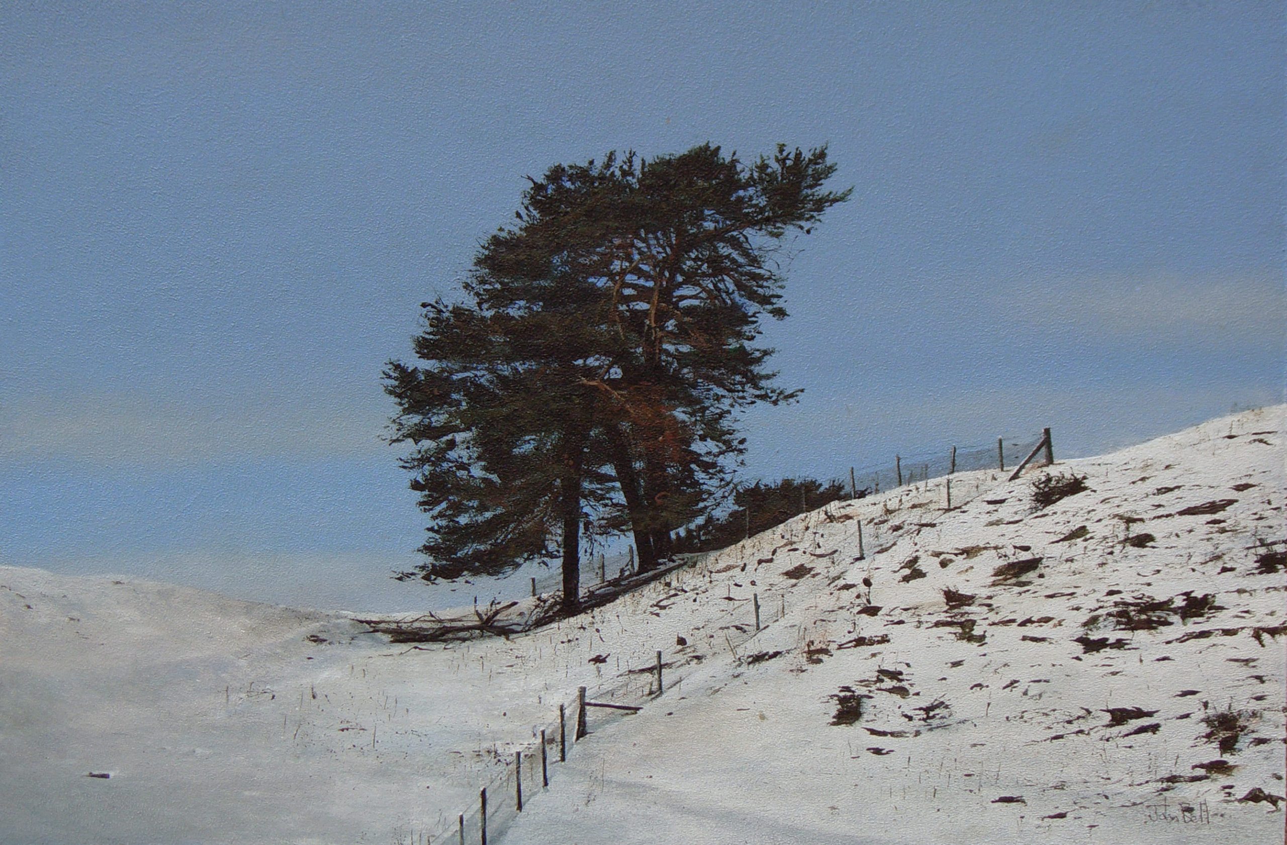 16 Beal Hill II (size 18 x 12 inches) 16 Beal Hill II (size 18 x 12 inches)