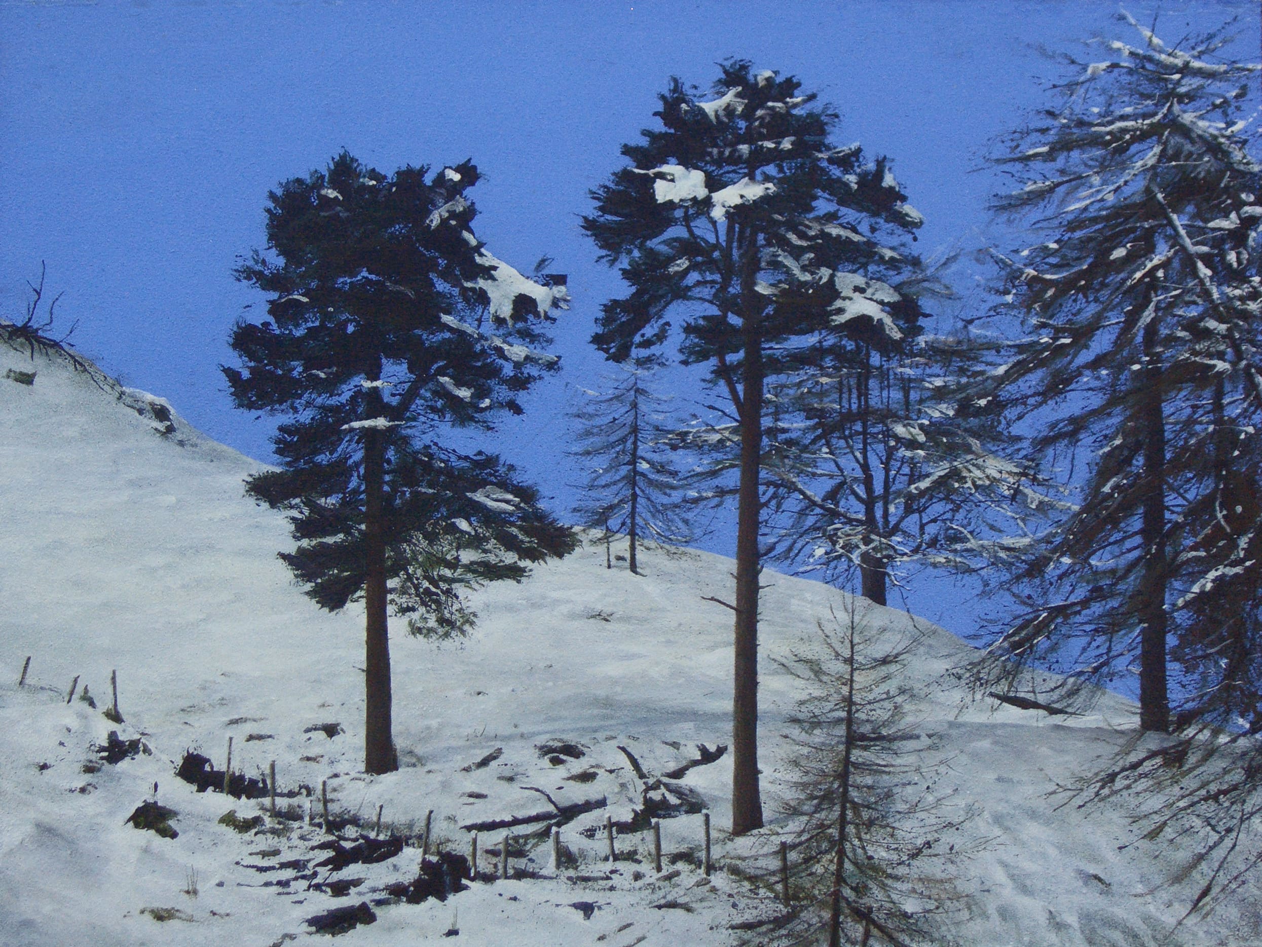 8 clear day, lumley den (size 16 x 12 inches)