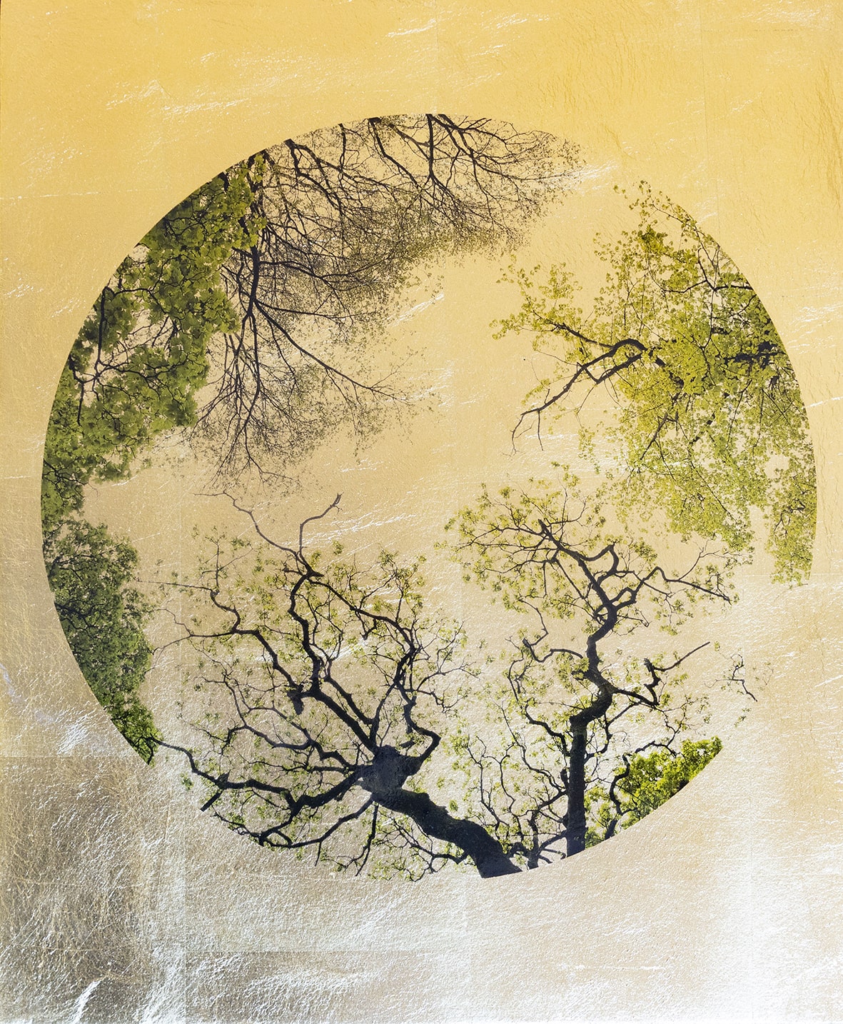 Arboris Folium III 40x50cm £420-min