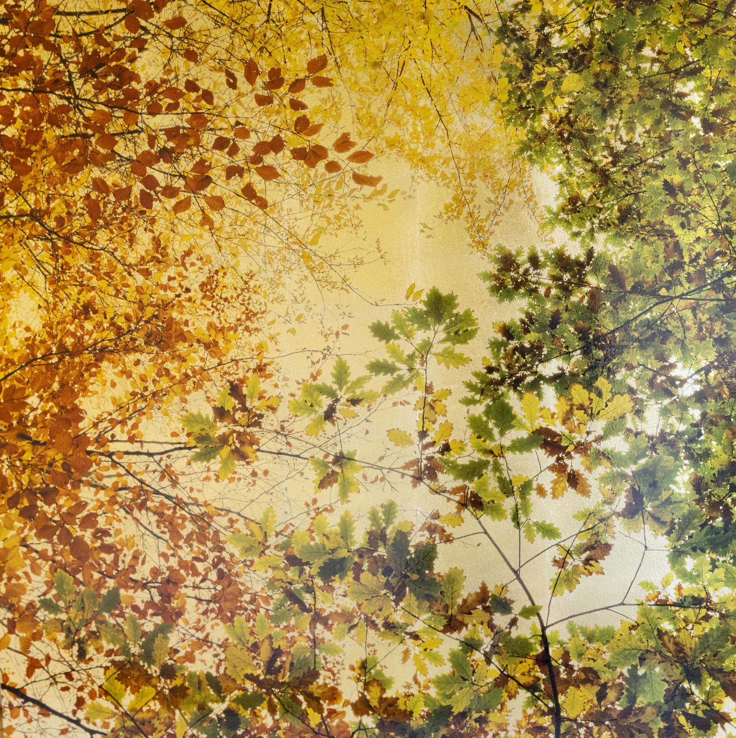 Arobris Folium VII 40x40cm £380-min