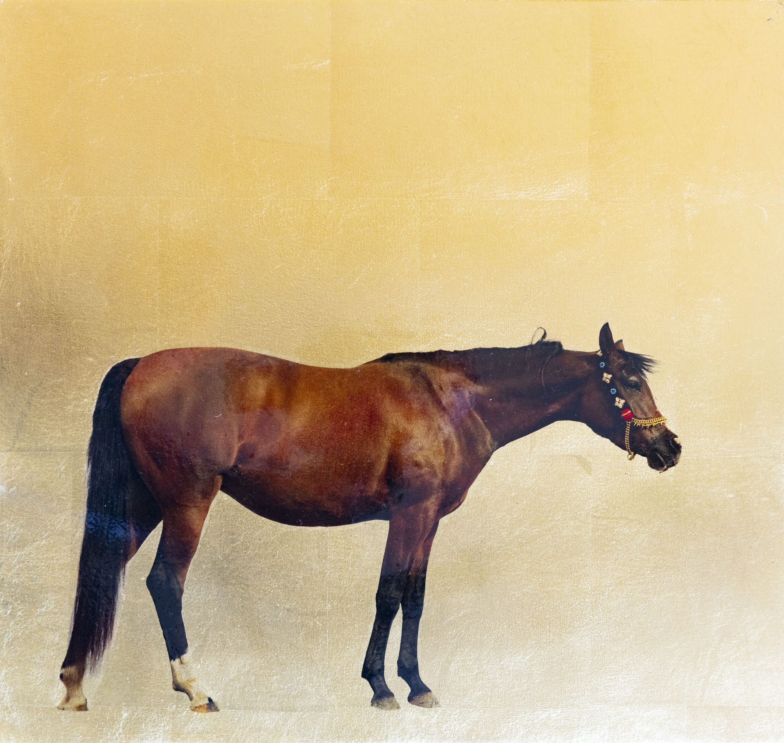 Equos 40x40cm £340-min