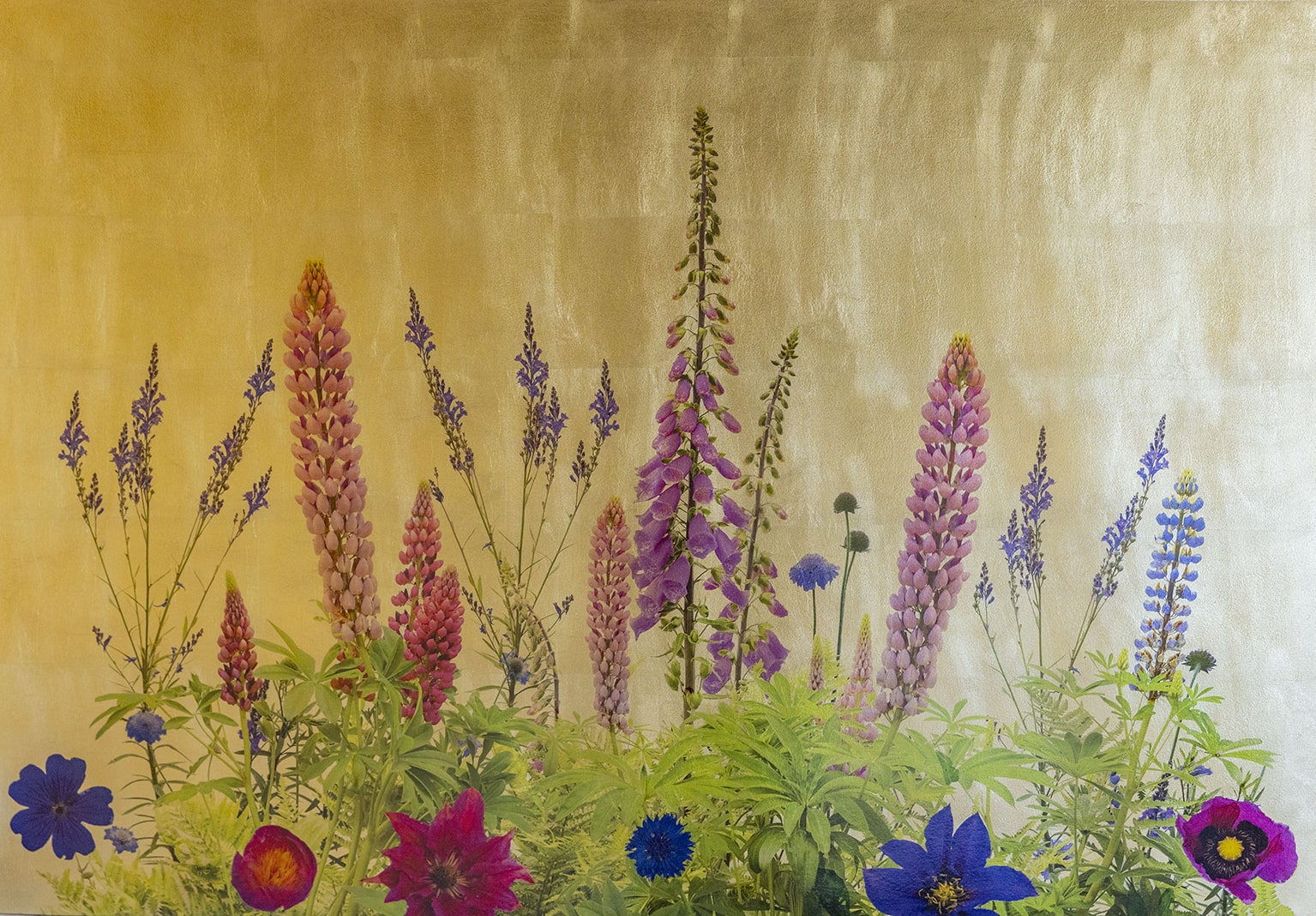 Fera Lupinis IV 120x80cm £1330-min