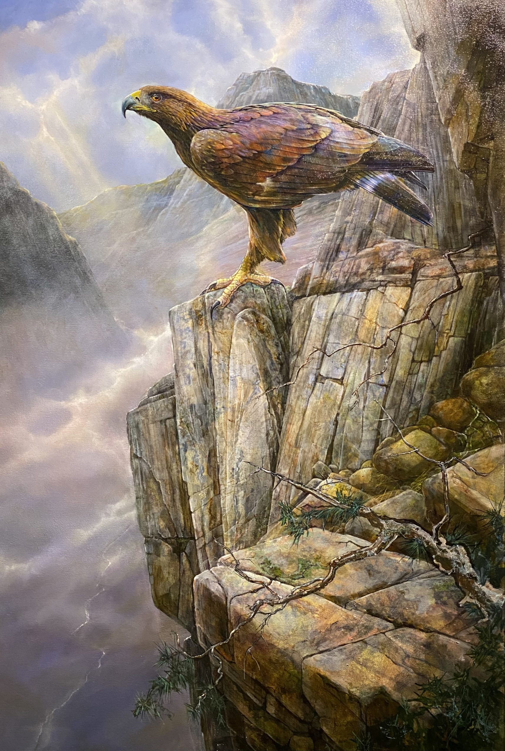 Golden Eagle