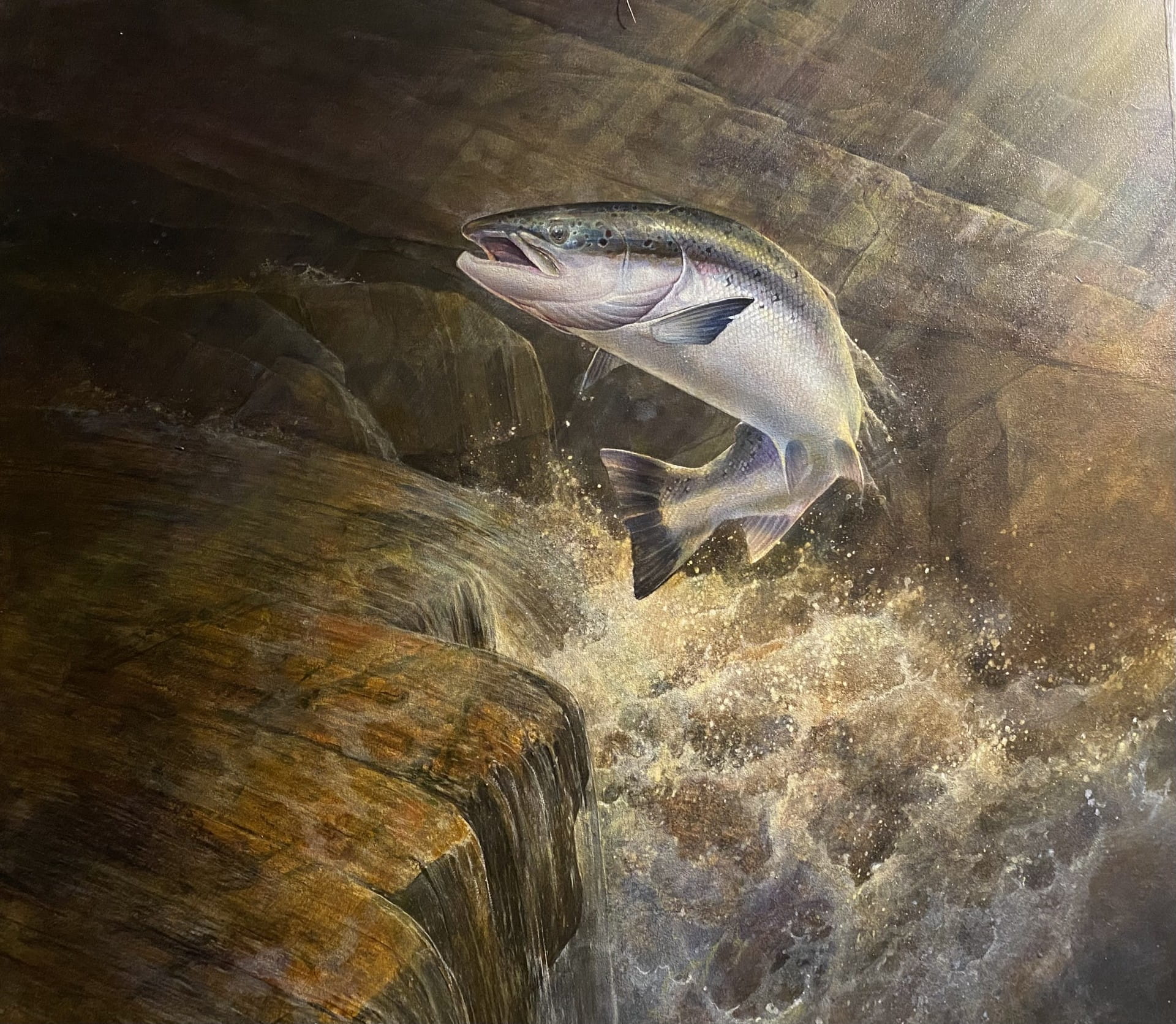Salmon Over the Falls