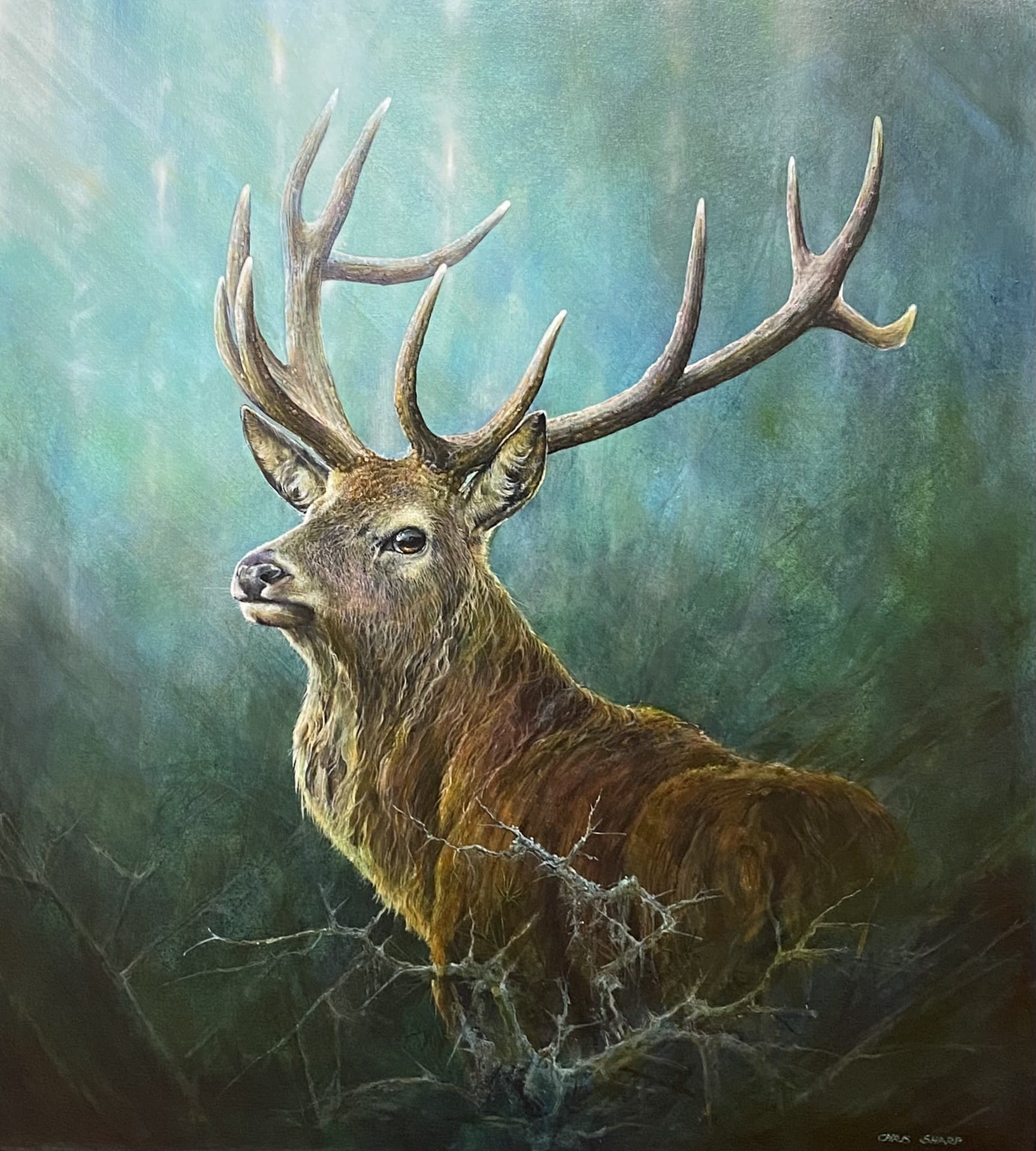 stag